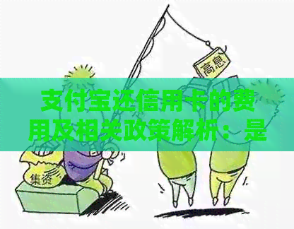 支付宝还信用卡的费用及相关政策解析：是否需要支付手续费以及如何操作？