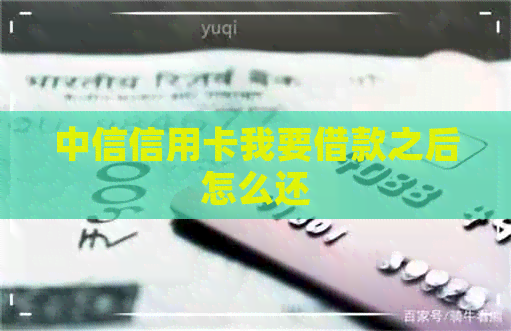 中信信用卡我要借款之后怎么还