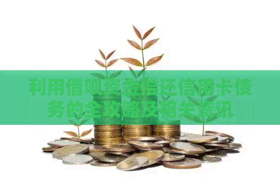 利用网贷资金偿还信用卡债务的全攻略及相关资讯