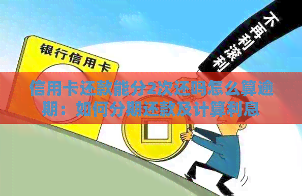 信用卡还款能分2次还吗怎么算逾期：如何分期还款及计算利息