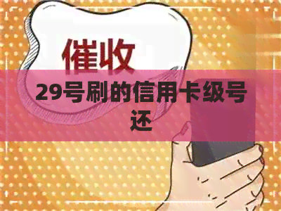 29号刷的信用卡级号还