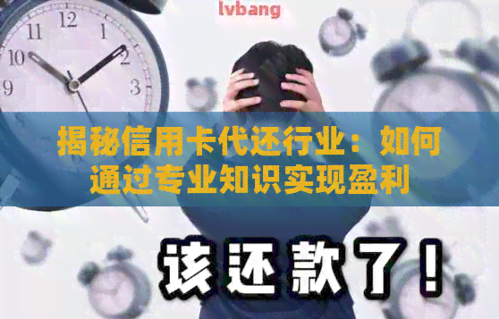 揭秘信用卡代还行业：如何通过专业知识实现盈利