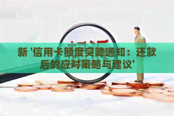 新 '信用卡额度突降通知：还款后的应对策略与建议'
