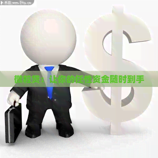 微粒贷：让你的任性资金随时到手