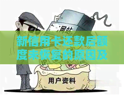 新信用卡还款后额度未恢复的原因及解决办法