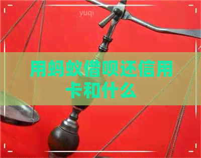 用蚂蚁网贷还信用卡和什么