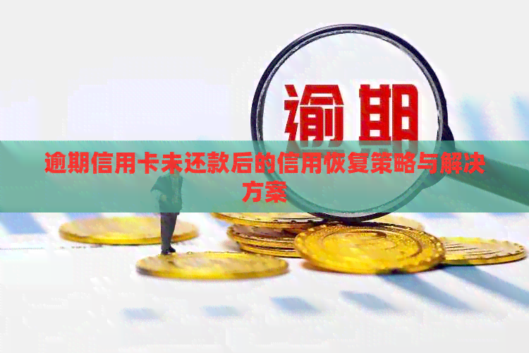 逾期信用卡未还款后的信用恢复策略与解决方案