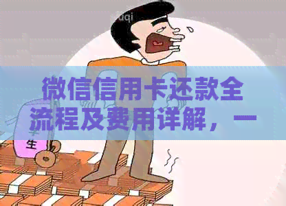 微信信用卡还款全流程及费用详解，一文解答您的所有疑问
