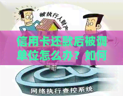信用卡还款后被调单位怎么办？如何应对这种情况并确保个人信用不受影响