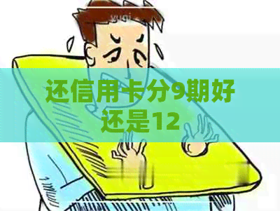 还信用卡分9期好还是12