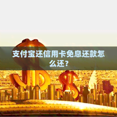 支付宝还信用卡免息还款怎么还？