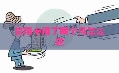 信用卡用了两个月怎么还