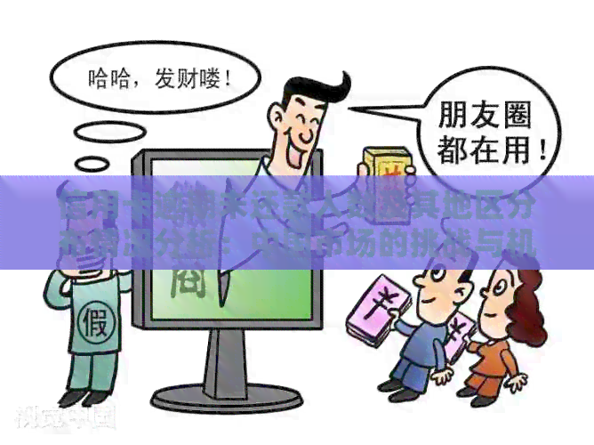 信用卡逾期未还款人数及其地区分布情况分析：中国市场的挑战与机遇