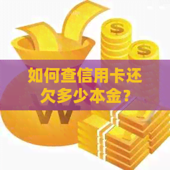 如何查信用卡还欠多少本金？