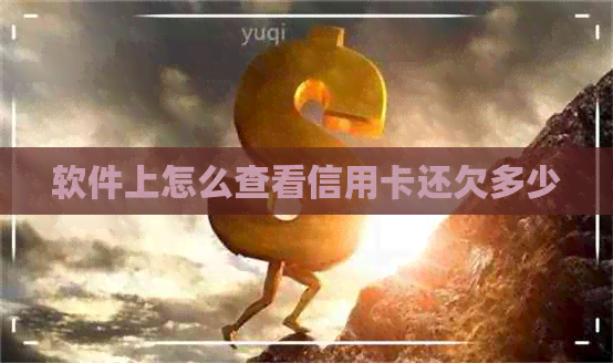 软件上怎么查看信用卡还欠多少