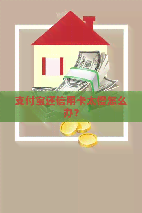 支付宝还信用卡太慢怎么办？