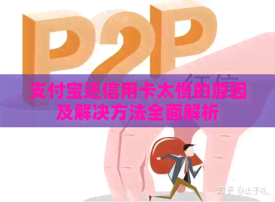 支付宝还信用卡太慢的原因及解决方法全面解析