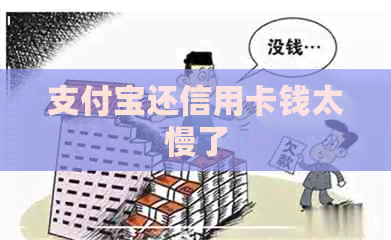 支付宝还信用卡钱太慢了