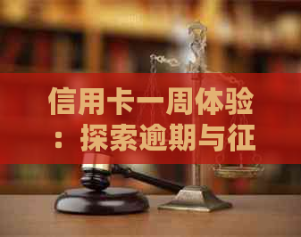 信用卡一周体验：探索逾期与的影响