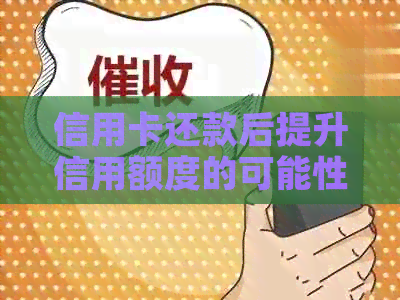信用卡还款后提升信用额度的可能性及注意事项