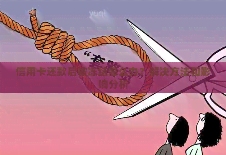 信用卡还款后被冻结怎么办？解决方法和影响分析