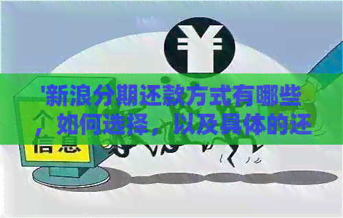 '新浪分期还款方式有哪些，如何选择，以及具体的还款流程和评价。'