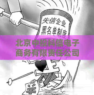 北京中投科信电子商务有限责任公司怎么样：转账业务及公司介绍