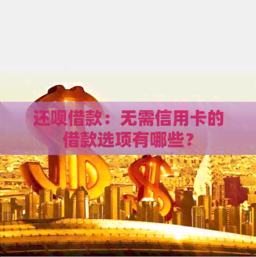 还款借款：无需信用卡的借款选项有哪些？