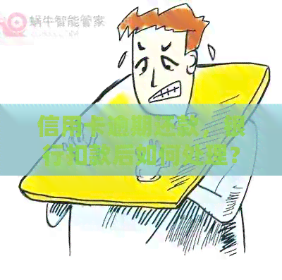 信用卡逾期还款，银行扣款后如何处理？全面解决方案及步骤详解