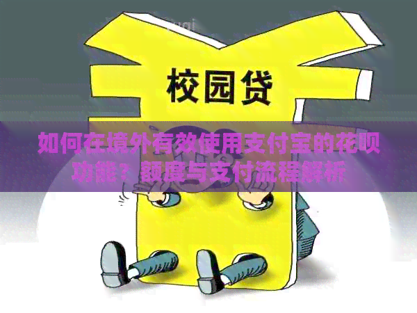 如何在境外有效使用支付宝的信用卡功能？额度与支付流程解析