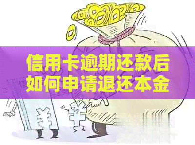 信用卡逾期还款后如何申请退还本金成功操作指南