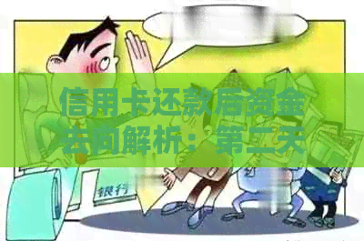 信用卡还款后资金去向解析：第二天的还款到底发生了什么？