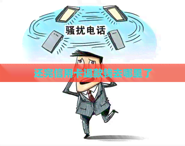 还完信用卡退款钱去哪里了