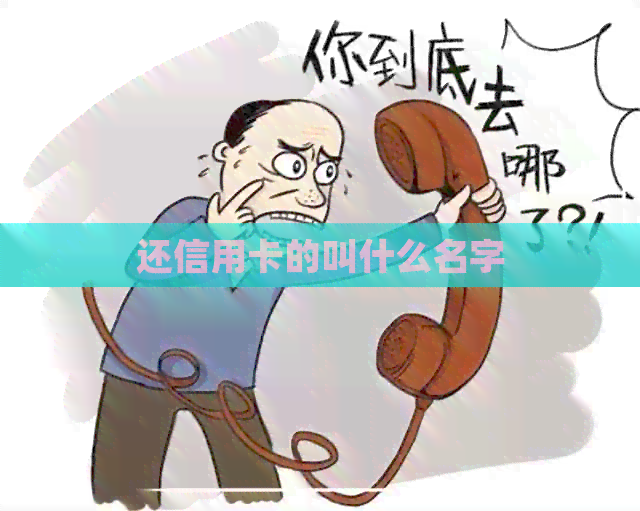 还信用卡的叫什么名字