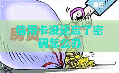 信用卡没还忘了密码怎么办