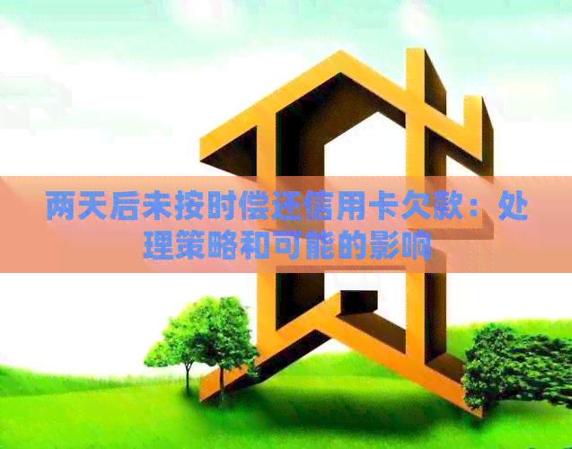 两天后未按时偿还信用卡欠款：处理策略和可能的影响