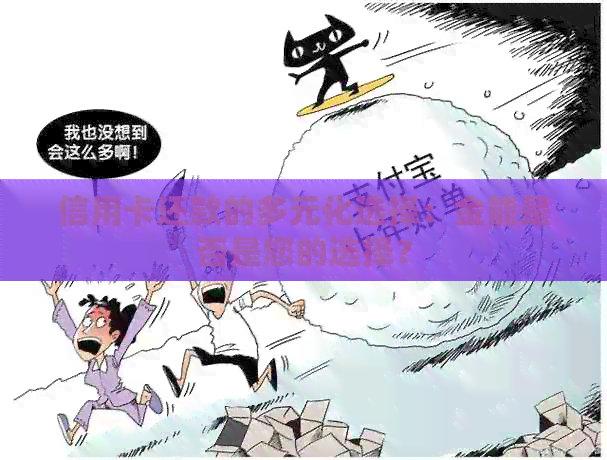 信用卡还款的多元化选择：金能是否是您的选择？