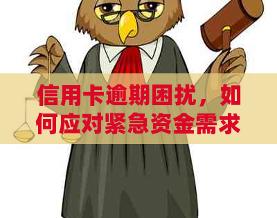 信用卡逾期困扰，如何应对紧急资金需求？