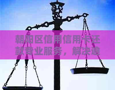 朝阳区信用信用卡还款专业服务，解决逾期难题