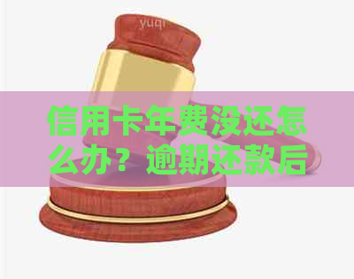 信用卡年费没还怎么办？逾期还款后果及解决办法全面解析