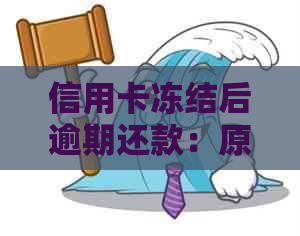 信用卡冻结后逾期还款：原因、影响与解决方案