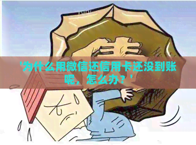 '为什么用微信还信用卡还没到账呢，怎么办？'
