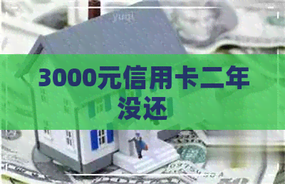 3000元信用卡二年没还