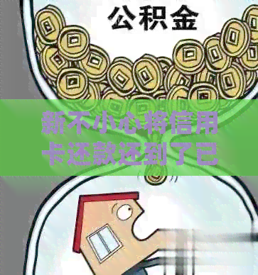 新不小心将信用卡还款还到了已经注销的卡里，该如何处理？