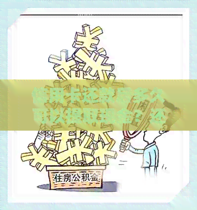 信用卡还款后多久可以提取现金？还款后取现的相关问题解答