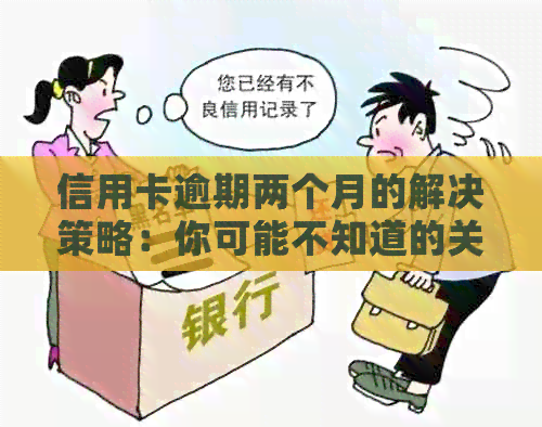 信用卡逾期两个月的解决策略：你可能不知道的关键步骤