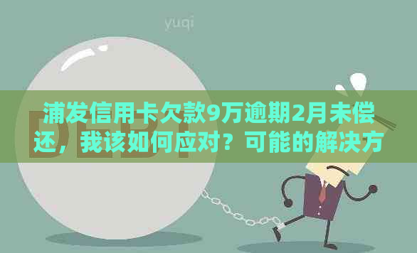 浦发信用卡欠款9万逾期2月未偿还，我该如何应对？可能的解决方案和建议