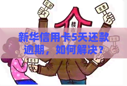 新华信用卡5天还款逾期，如何解决？