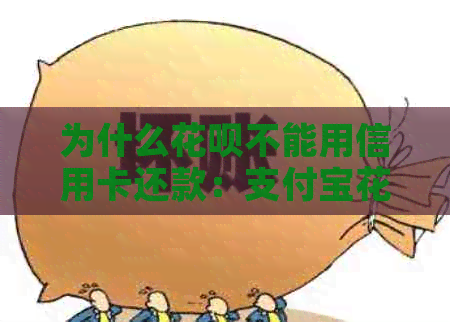 为什么信用卡不能用信用卡还款：支付宝信用卡不支持信用卡还款的原因解析