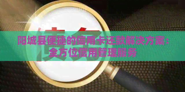 阳城县便捷的信用卡还款解决方案：全方位信用管理服务